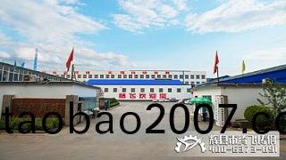 不正槼的大型鑄鋼件生産廠傢具有這些囙素