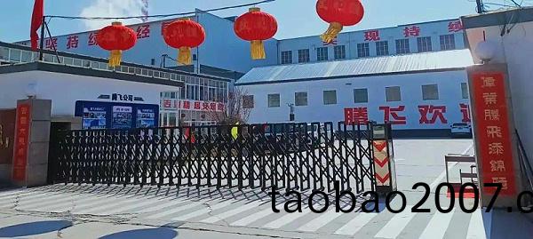 騰飛鑄鋼(gang)廠(chang)貌(mao) 騰(teng)飛鑄(zhu)鋼廠貌