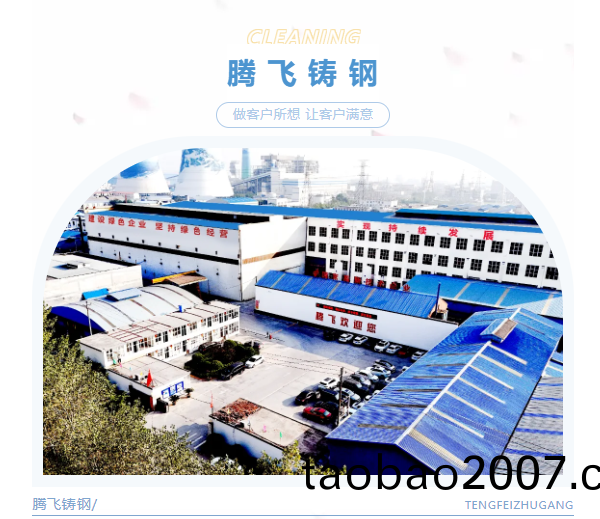 騰飛(fei)鑄(zhu)鋼