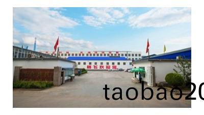 鑄鋼件加工廠(chang)傢