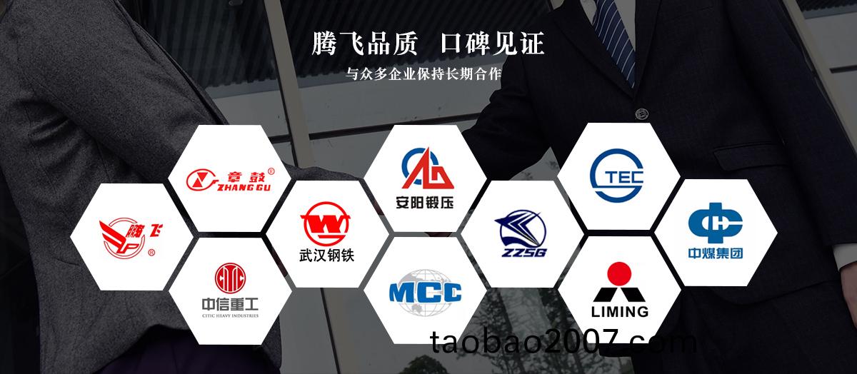 騰(teng)飛鑄鋼 騰飛(fei)鑄鋼