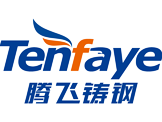 騰(teng)飛(fei)鑄鋼