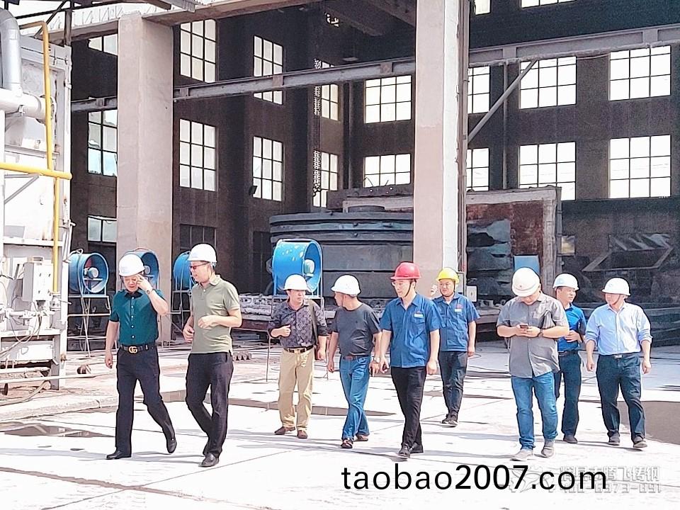爲國傢(jia)級水電工程--白鶴灘水電工程提供鉸鏈鉸座等相關(guan)鑄件